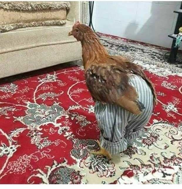 Sadece Türkiye'de yaşanacak komik manzaralar 24