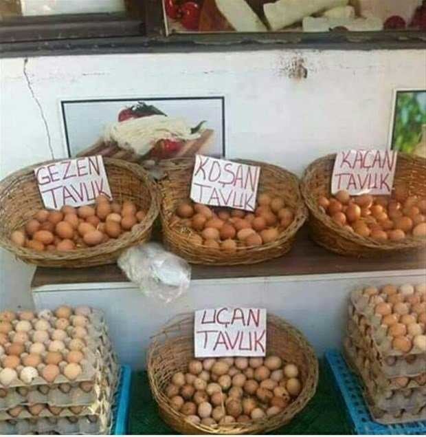 Sadece Türkiye'de yaşanacak komik manzaralar 26