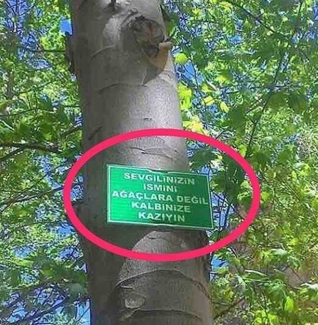 Sadece Türkiye'de yaşanacak komik manzaralar 36