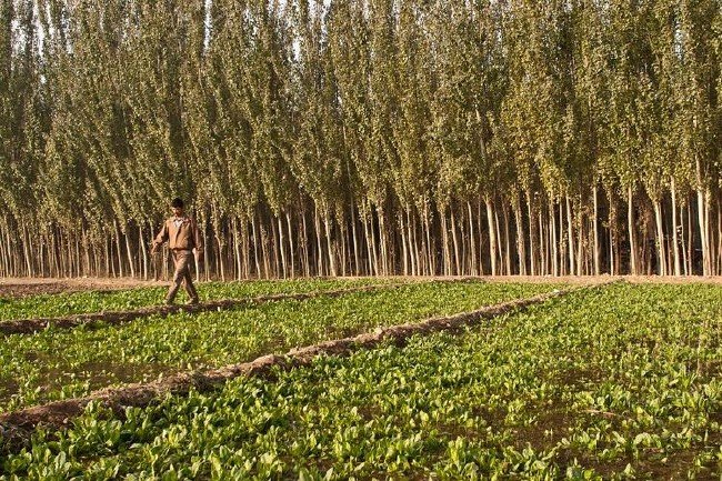Çöl altındaki Türk mucizesi: Karız Kanalları 6