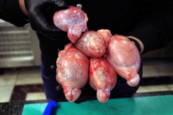 Adanalıların yeni gözdesi 'billur kebabı' 4