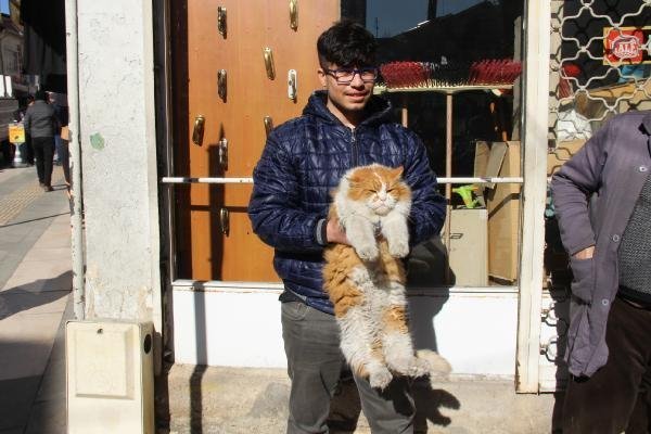 8 kiloluk kedi 'Şerafettin' 2