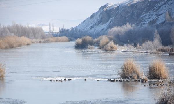Sivas'ta 'Sibirya soğukları' 17