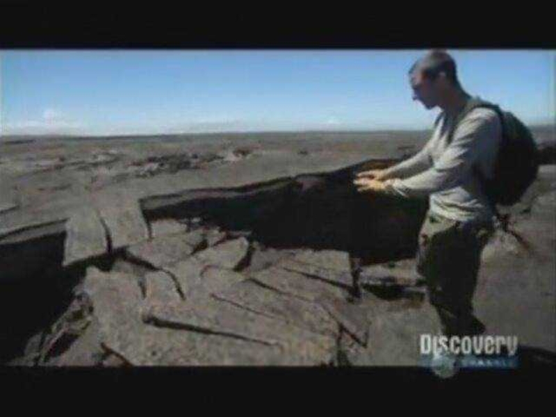 Ünlü belgeselci Bear Grylls herkesi kandırmış! Dünyaya rezil oldu 8