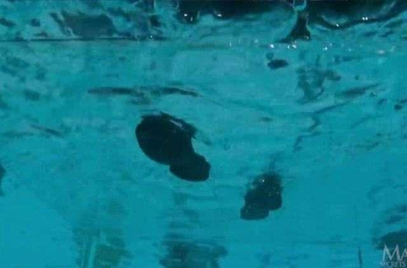 Sihirbazların tüm sırlarını ortaya çıkardı 14