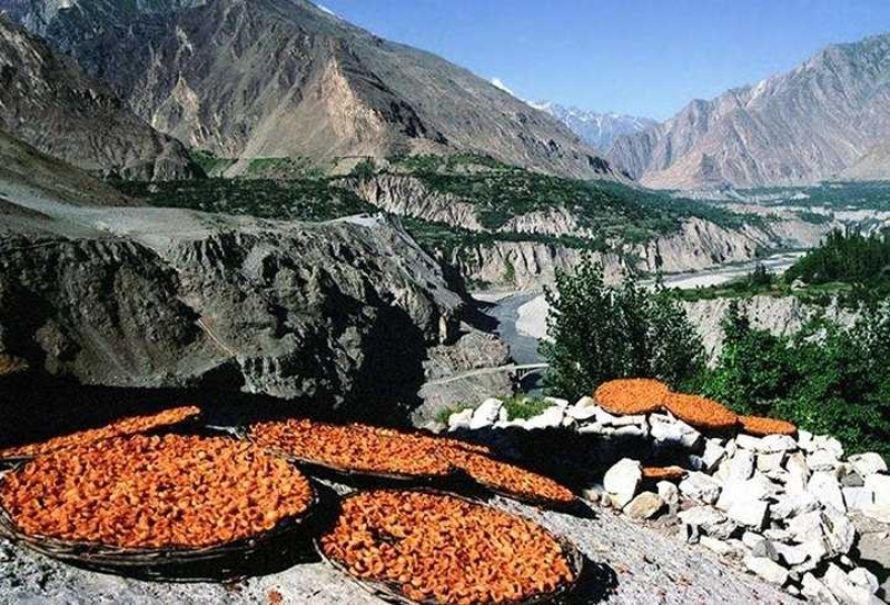 120 yıl yaşayan Hunza Türklerinin bilinmeyen sırları 2