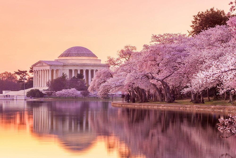 Sanal tur ve canlı videolarla oturduğunuz yerden dünyayı gezin 1