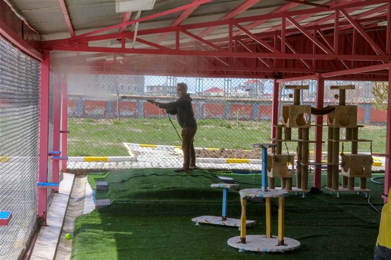 Van kedileri koronaya karşı özenle korunuyor 12