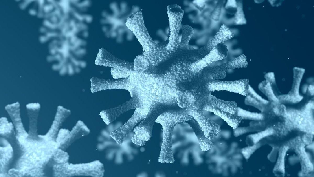 Koronavirüsün organ organ etkileri! Koronavirüs vücudumuza ne yapıyor 4