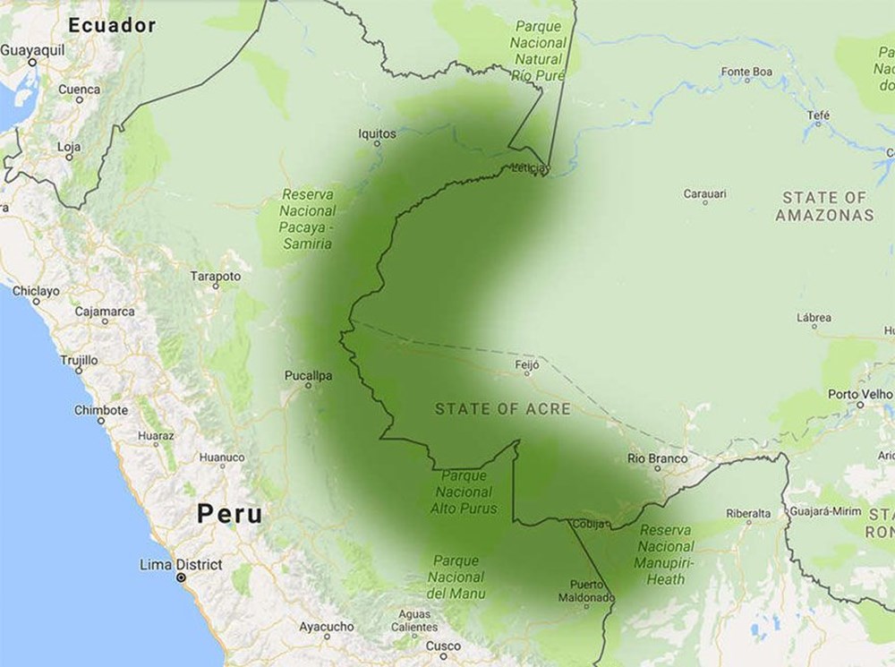 Henüz medeniyetle tanışmamış ilkel kabilelerin fotoğrafları 2