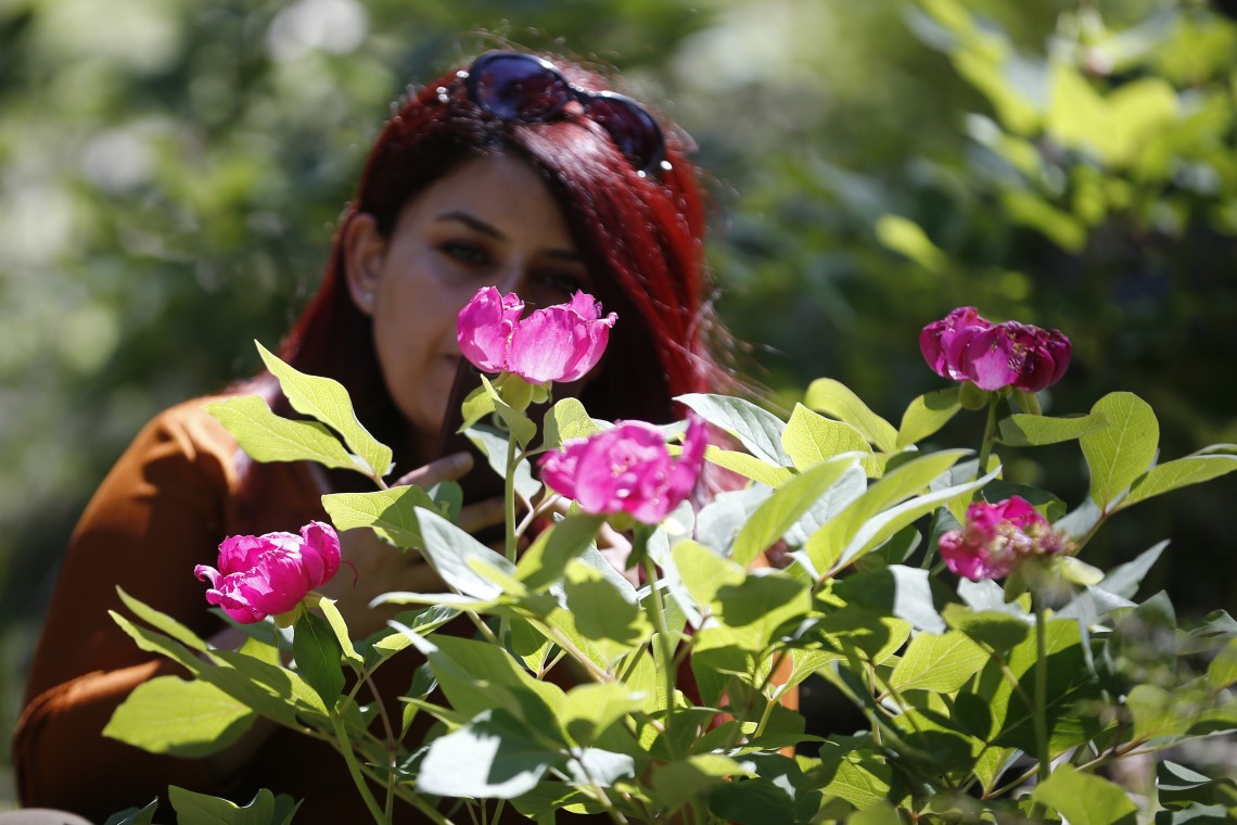 'Yörük Gülü'nü koparmanın tam 73 bin lira ceza 3