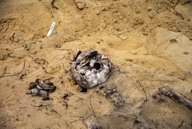 Polonya'da 115 çocuk cesedi bulunan toplu mezarın gizemi 9