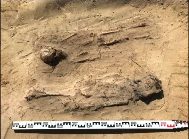 Polonya'da 115 çocuk cesedi bulunan toplu mezarın gizemi 10