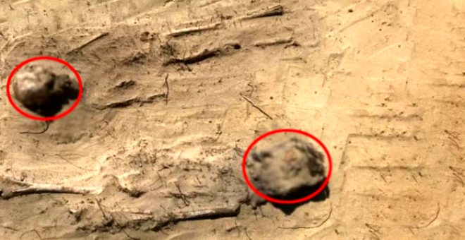 Polonya'da 115 çocuk cesedi bulunan toplu mezarın gizemi 1