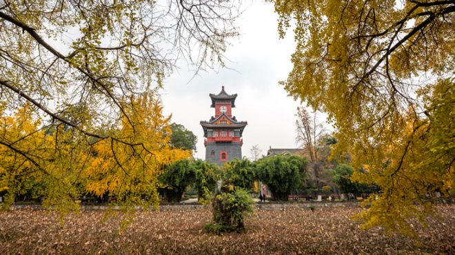 Çin'de muhtarın zengin ettiği köyde herkese villa! Ama tek bir şartı var 13