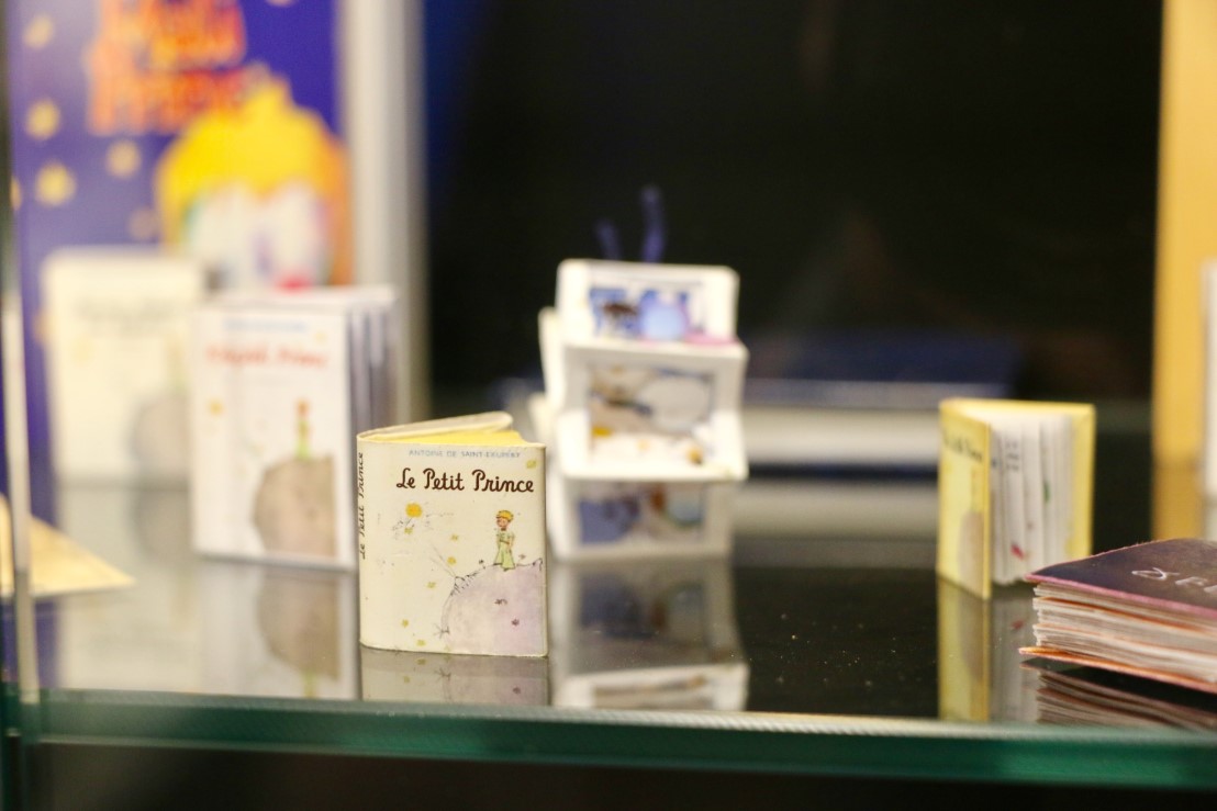 Eskişehir'de 400 farklı dilde, 2 bin 'Küçük Prens' kitabı müzeye girdi 6