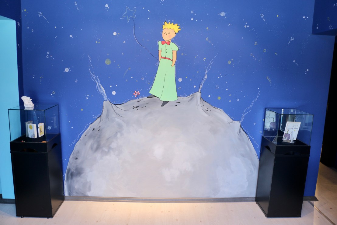 Eskişehir'de 400 farklı dilde, 2 bin 'Küçük Prens' kitabı müzeye girdi 2