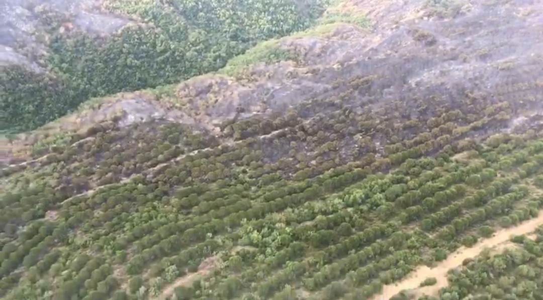 Gelibolu'dan kahreden görüntüler 8