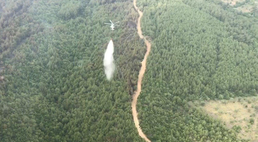 Gelibolu'dan kahreden görüntüler 9