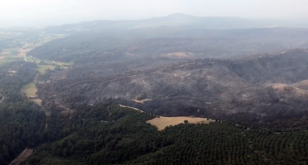Gelibolu'dan kahreden görüntüler 5
