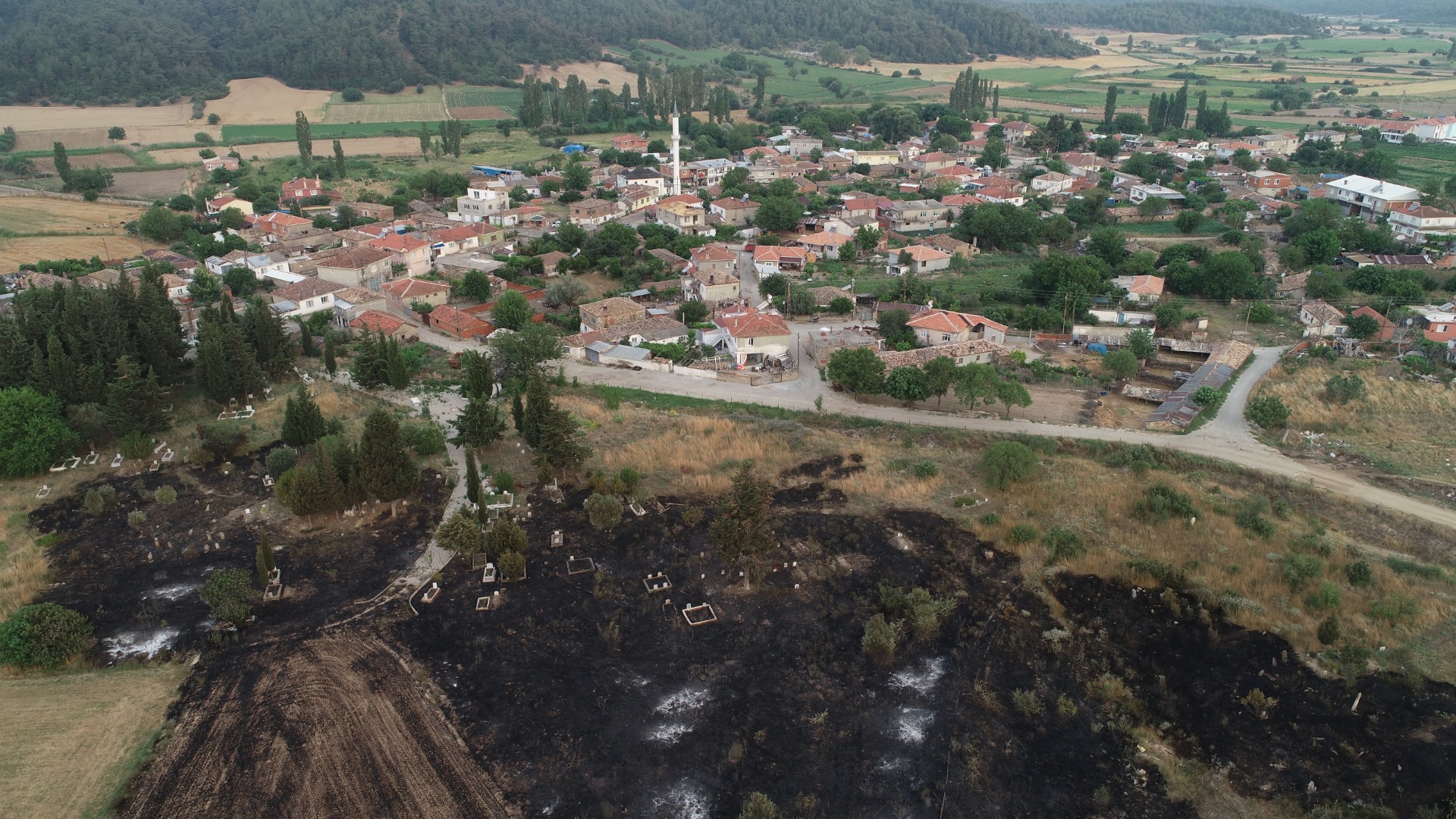 Gelibolu'dan kahreden görüntüler 10