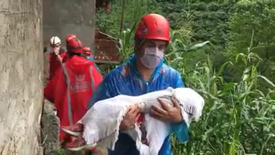 Doğu Karadeniz'i sel ve heyelan vurdu! Evler çöktü, yollar kapandı 23