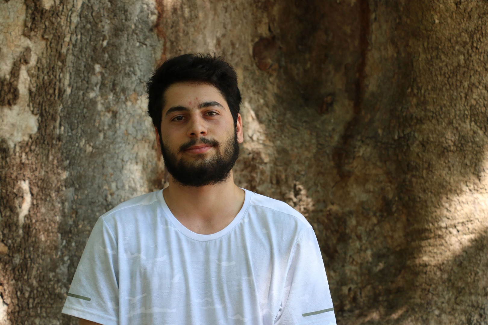 12 asırlık 'anıt ağaca' gözleri gibi bakıyorlar: Bir dalına bile kıyamayız 13