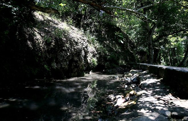 Şifa bulmak için iki büklüm oluyorlar! Ünü tüm Türkiye'ye yayıldı 5