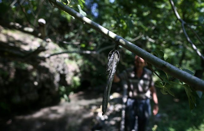 Şifa bulmak için iki büklüm oluyorlar! Ünü tüm Türkiye'ye yayıldı 6