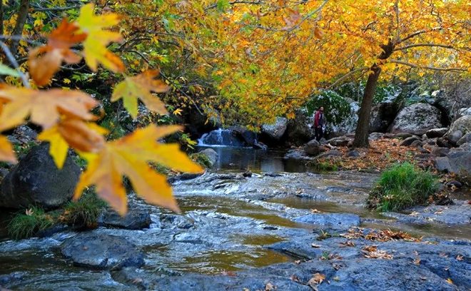 Doğu'nun saklı cenneti 'Şeyhandede' 5