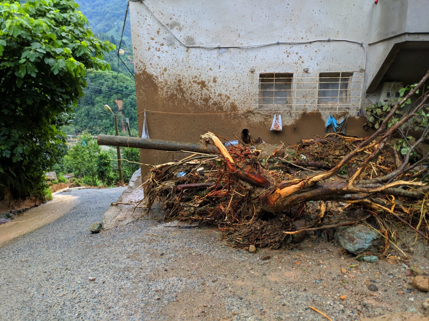 2 kişi hayatını kaybetmişti! Rize’de 91 yılın yağış rekoru kırıldı 1