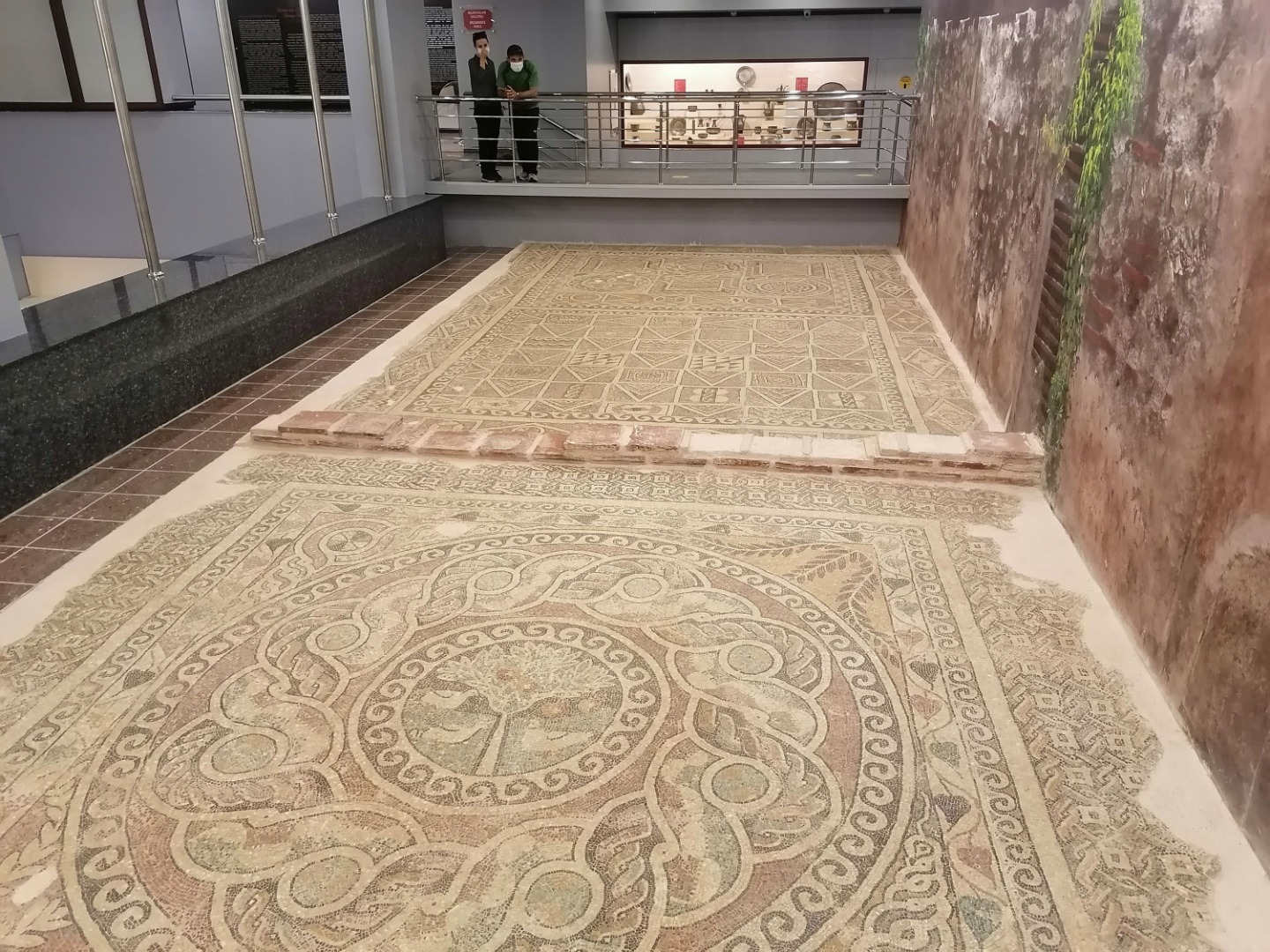 Kaçak kazıda ortaya çıkan 1800 yıllık 'elma' müzede 3