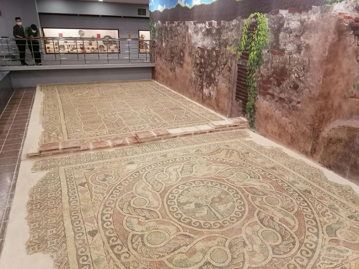 Kaçak kazıda ortaya çıkan 1800 yıllık 'elma' müzede 2