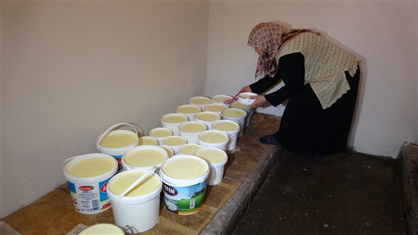 23 yıldır yaptığı yoğurtlarla çocuklarını okutuyor 3