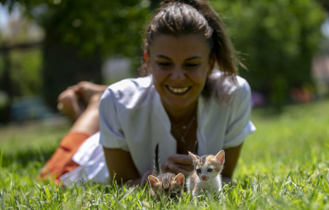 Anne kediler için 'stres oda'sı: Yavrularını rahatça emzirebilecekler 3