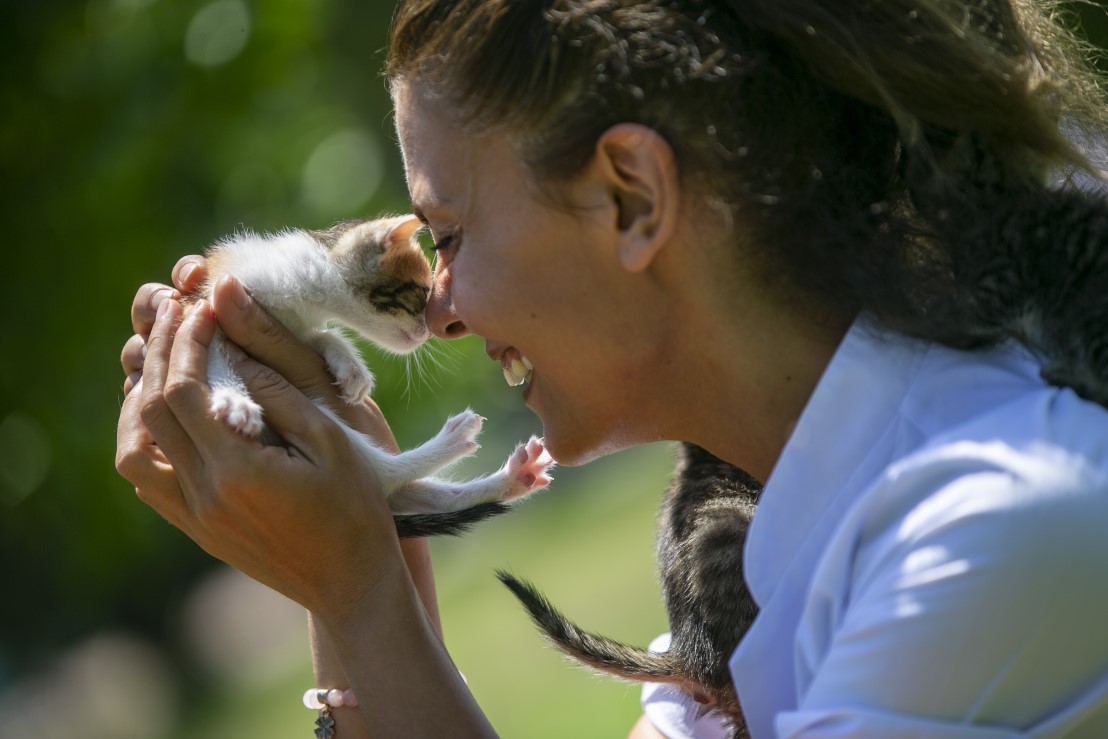 Anne kediler için 'stres oda'sı: Yavrularını rahatça emzirebilecekler 1
