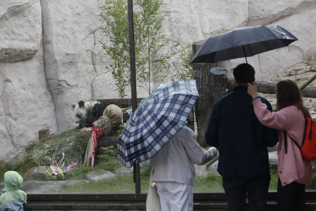 Putin'in pandalarına doğum günü sürprizi 11