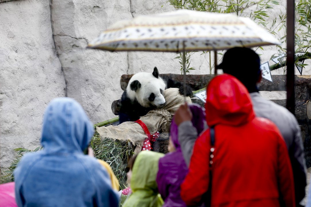 Putin'in pandalarına doğum günü sürprizi 4