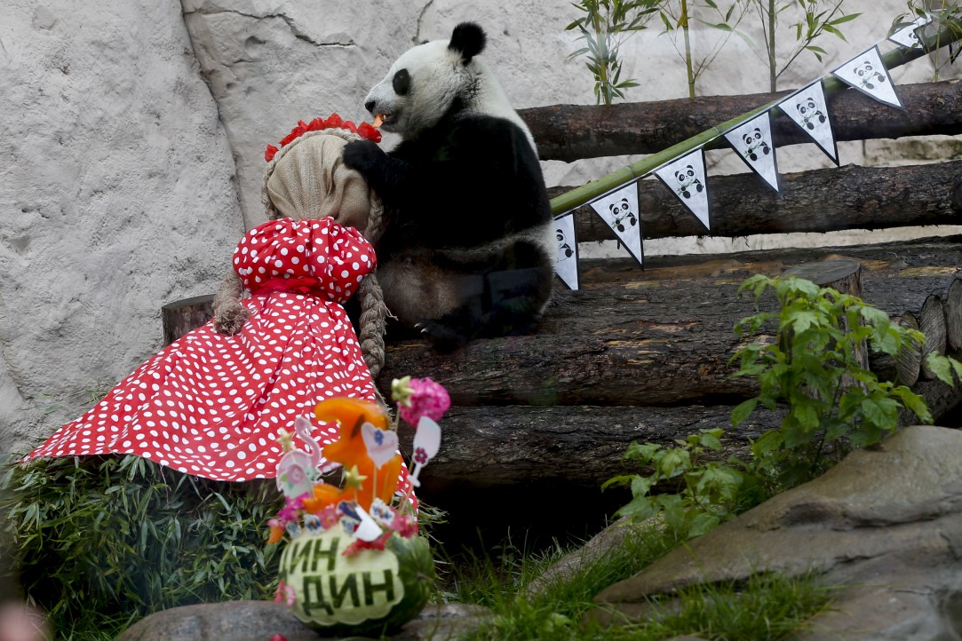 Putin'in pandalarına doğum günü sürprizi 1