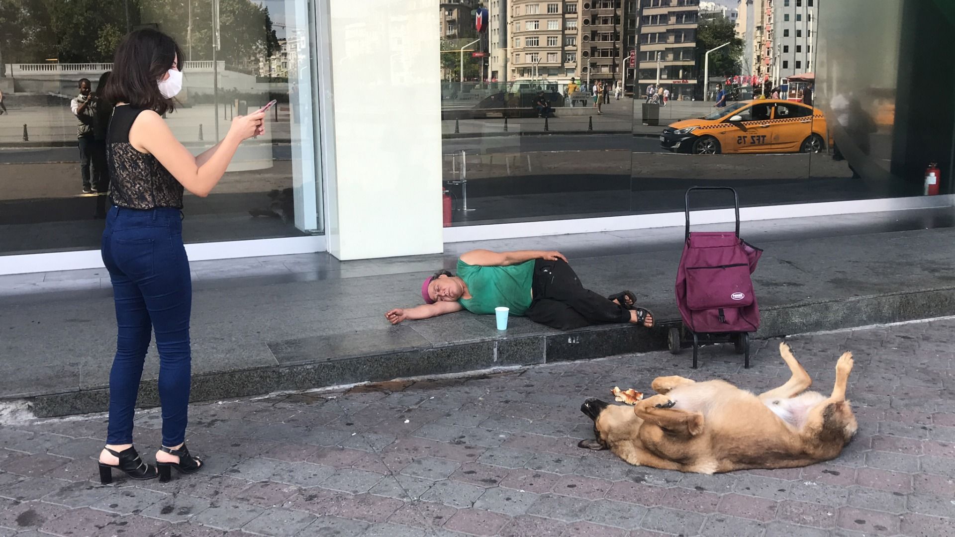lady ve sokak köpeği