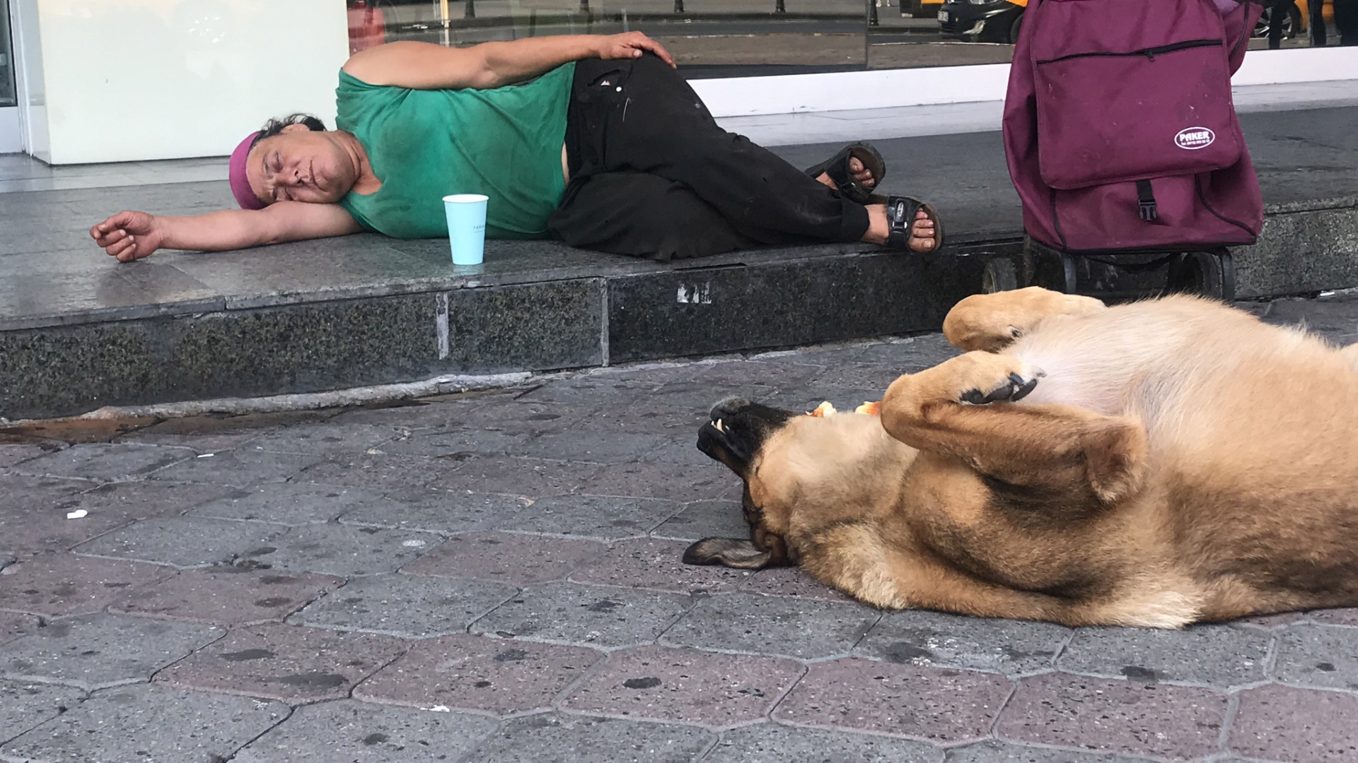 Yıllardır beslediği sokak köpeği yalnız bırakmadı