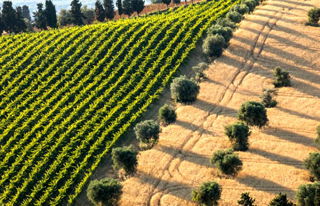 İtalyan kasabasının sağlık sırları duyanları hayran bırakıyor 3