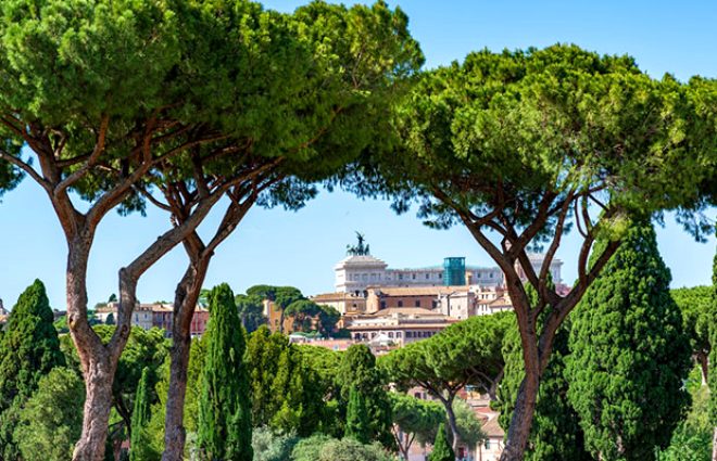 İtalyan kasabasının sağlık sırları duyanları hayran bırakıyor 4