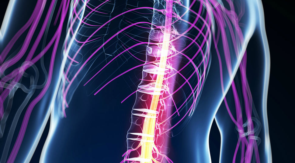 Yakın gelecekte insan hayatına ortak olacak nöroteknoloji şirketleri 18