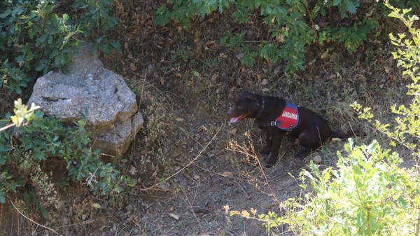 Son dakika! Bitlis'te Yıldırım-12 Beşkaynak Operasyonu başladı 18