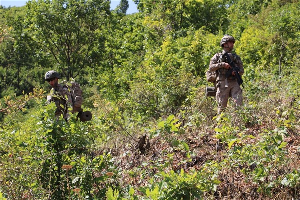 Son dakika! Bitlis'te Yıldırım-12 Beşkaynak Operasyonu başladı 14