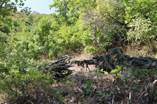 Son dakika! Bitlis'te Yıldırım-12 Beşkaynak Operasyonu başladı 12