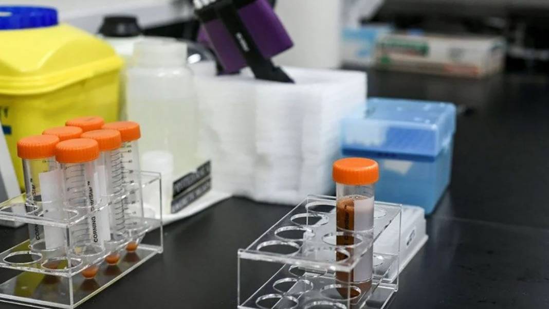 Koronavirüse yakalanmak için gönüllü oldular! 38 bin kişi başvurdu 11