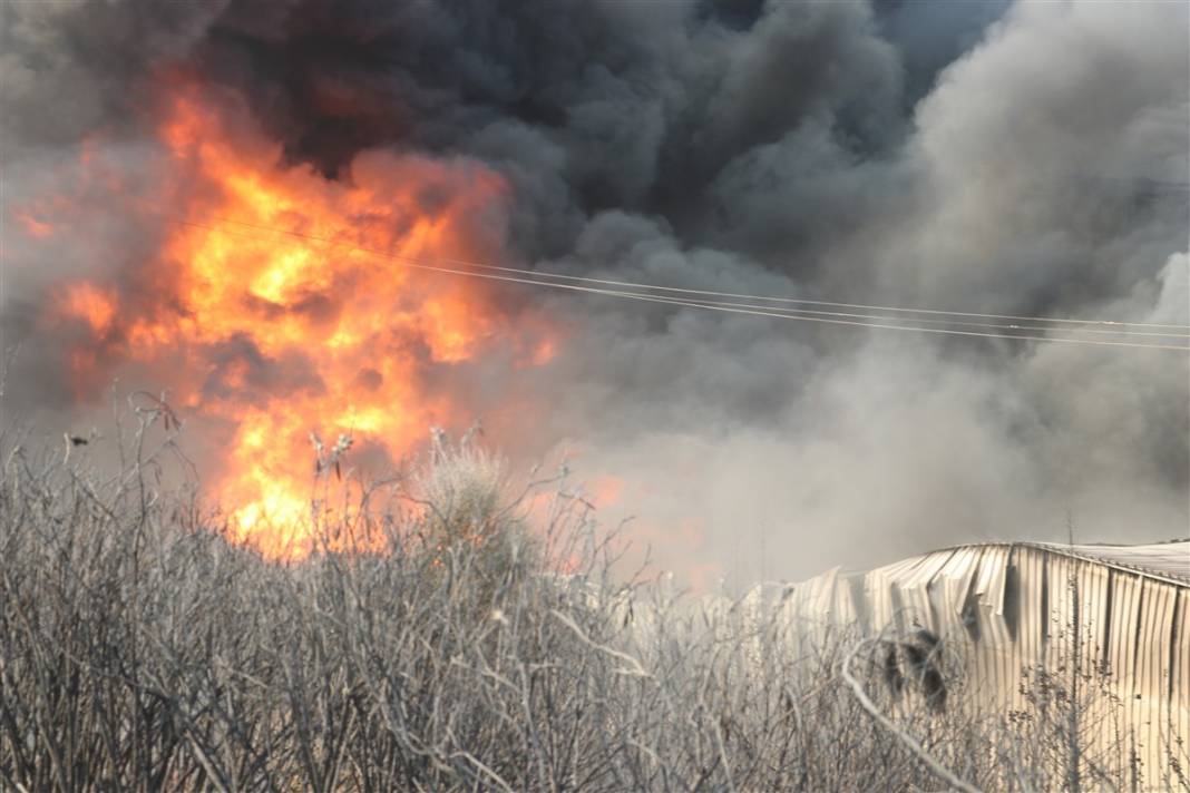 Son dakika! Hatay'da orman yangını! Alevler kente sıçradı 35
