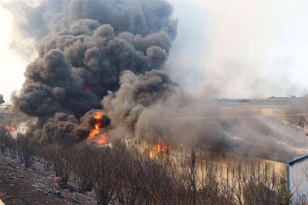 Son dakika! Hatay'da orman yangını! Alevler kente sıçradı 38